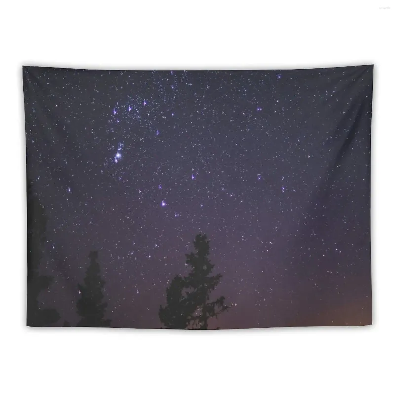 Tapadesries Space Tapestry Room Decor esthétique sur le mur