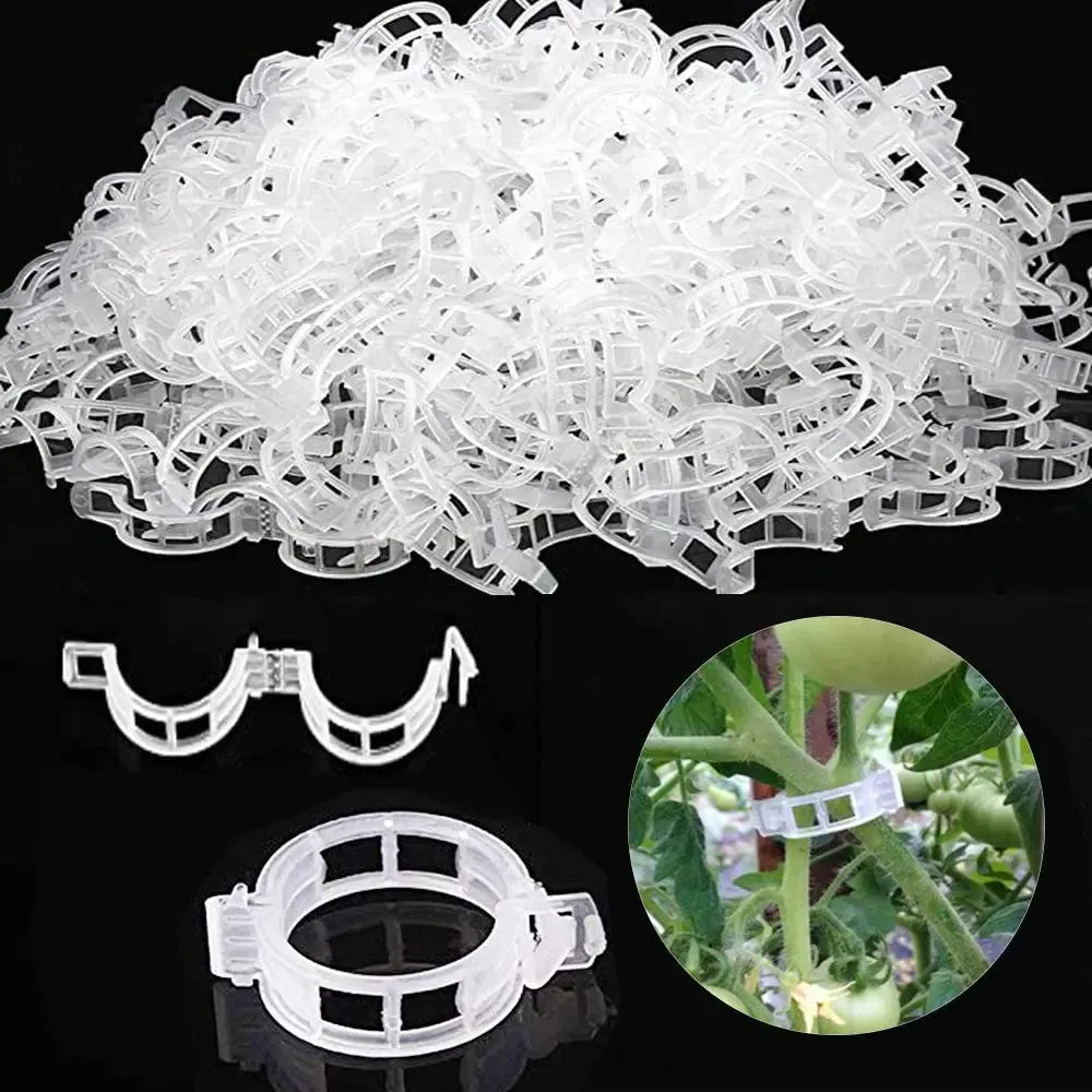 Soutien 2001000pcs Garden Plante Clips de support Vine Vine Vine Vine Vine Plantes Trellis Clips Pour cultiver les outils de jardin droit