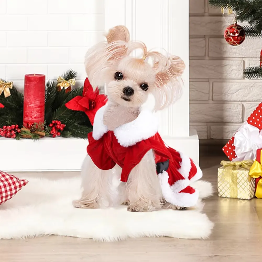 white christmas dresses Parisian Pet