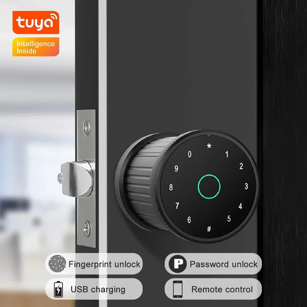 قفل Tuya الجديد بصمة الأصابع قفل Bluetooth مكتب المنزل القفل القفل المضاد لمكافحة كلمة مرور كروية DIY قفل الباب الإلكتروني