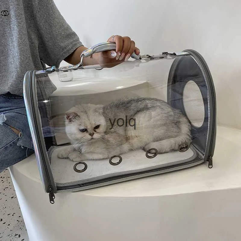 Carries de gatos Crates Casas BACA transparente carro portátil carregando gato cápsula espacial respirável backpack de animal de estimação Crossbody e cachorro H240407