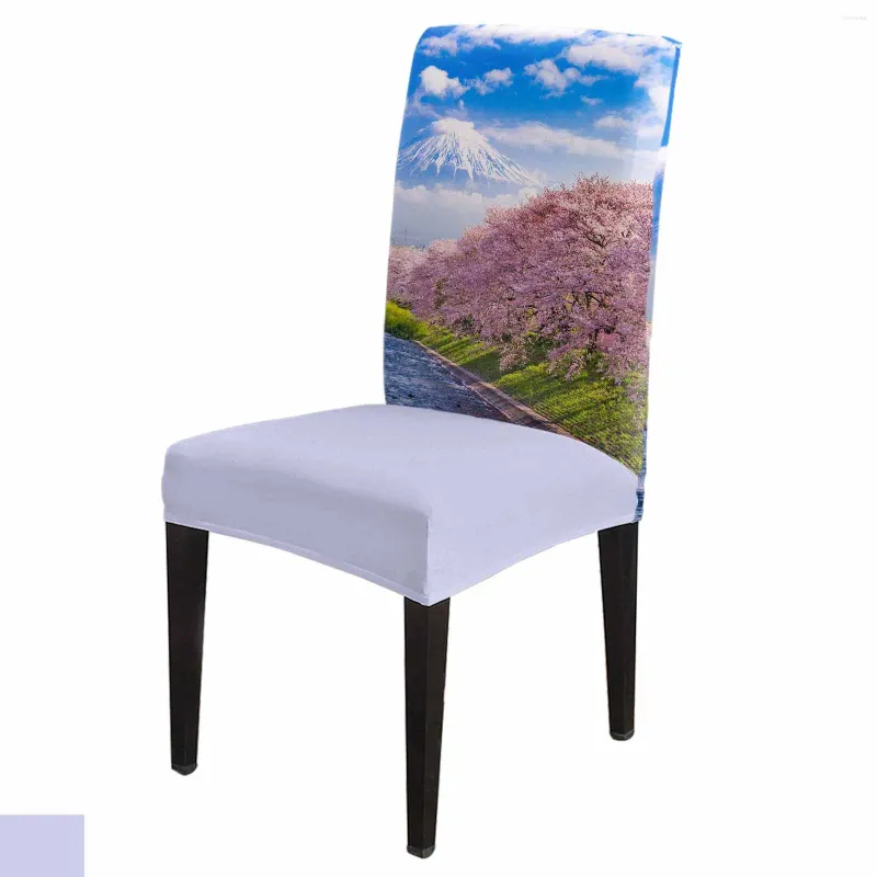 Couvre la chaise Fuji Mountain Cherry Blossom Japon Cover Stretch Elastic Dining Room Scecover Spandex Case de bureau