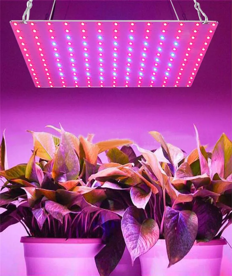 Växande lampor LED GROW LIGHT AC85265V Full Spectrum Plant Lighting Fitolampy For Plants Flowers Plantor odling2484702