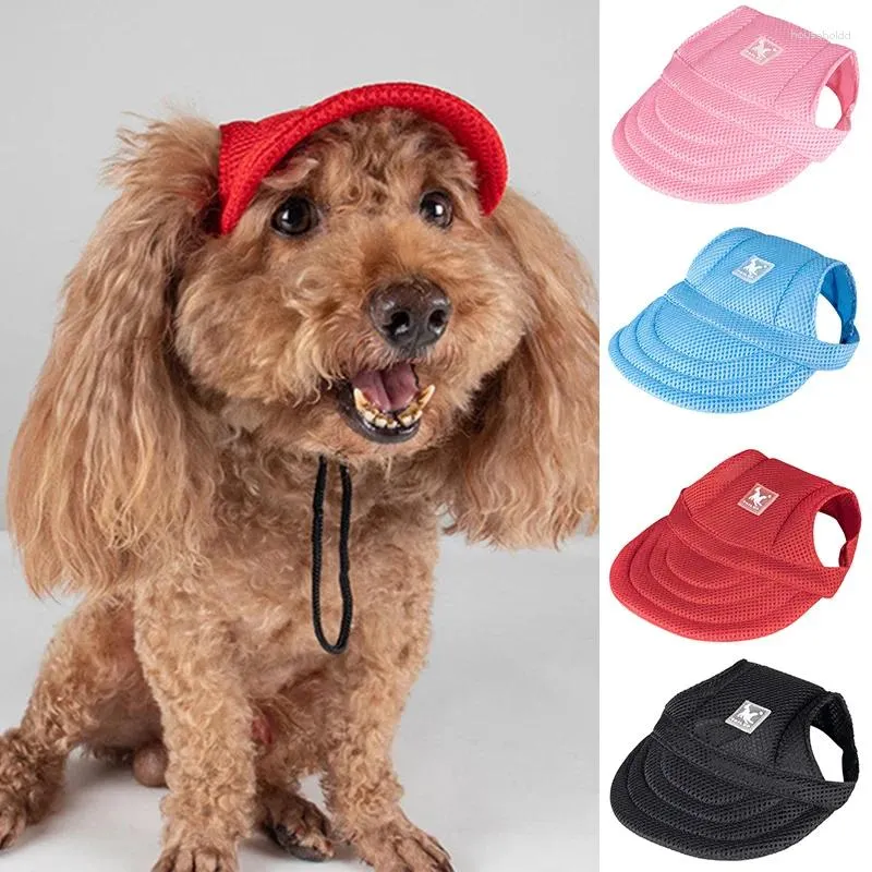 Capuchis de baseball en maille pour chien avec trous d'oreille