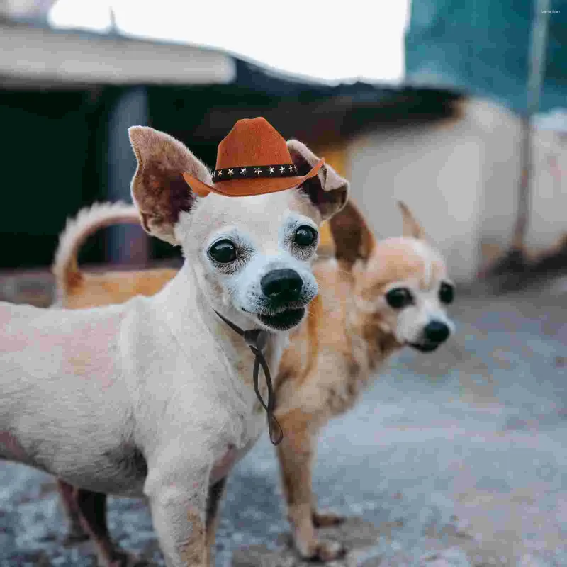 Cosplame de vêtements pour chiens tenues chapeau décorative coiffe de coiffe