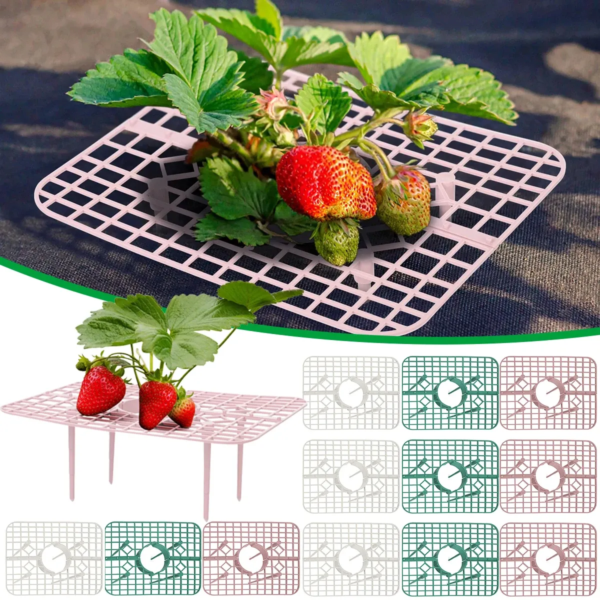 Prend en charge 5/10 / 20pcs Pièce de vigne d'escalade de fraise support de protection carrée du support de protection de plante Stand Fruit Rack Balcon Balcon