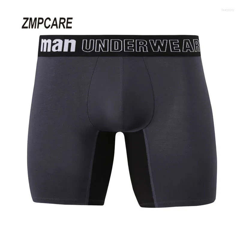 Underpants 2024 Boxers Men Long Leblewear для мужчин шорт бамбуковый волокно Большой размер и трусики Homme Boxerhomme