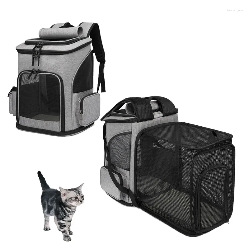 Katzenträger Erweiterbares Haustier Schultern Bag Cats Rucksackträger Erweiterbares Netz atmungsable faltbare Kaninchen kleiner Hund Travel Transport Hülle