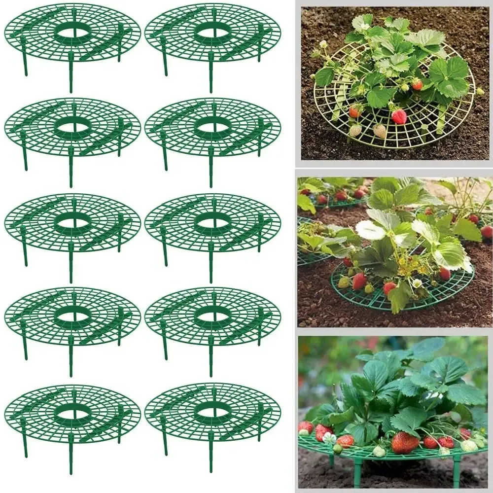 サポート520パックストロベリーサポート植物フルーツスタンド野菜成長ラックガーデンツールを保護するためのブドウを保護するための地面を避ける