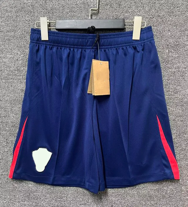 croatia soccer shorts