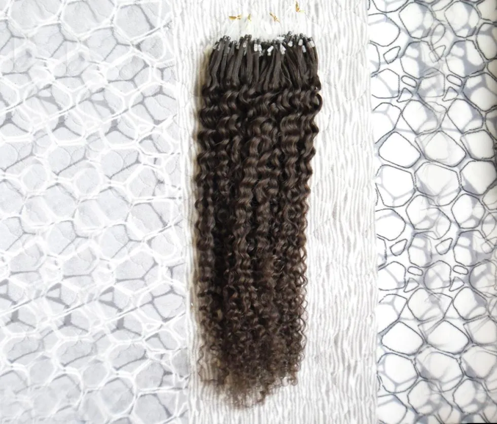 Human Hair Extensions Kinky Curly Micro Loop Ring Hair Extensions 100g 1gs 100s Remy Micro Bead Hair Extensions Darkest Brown5351485