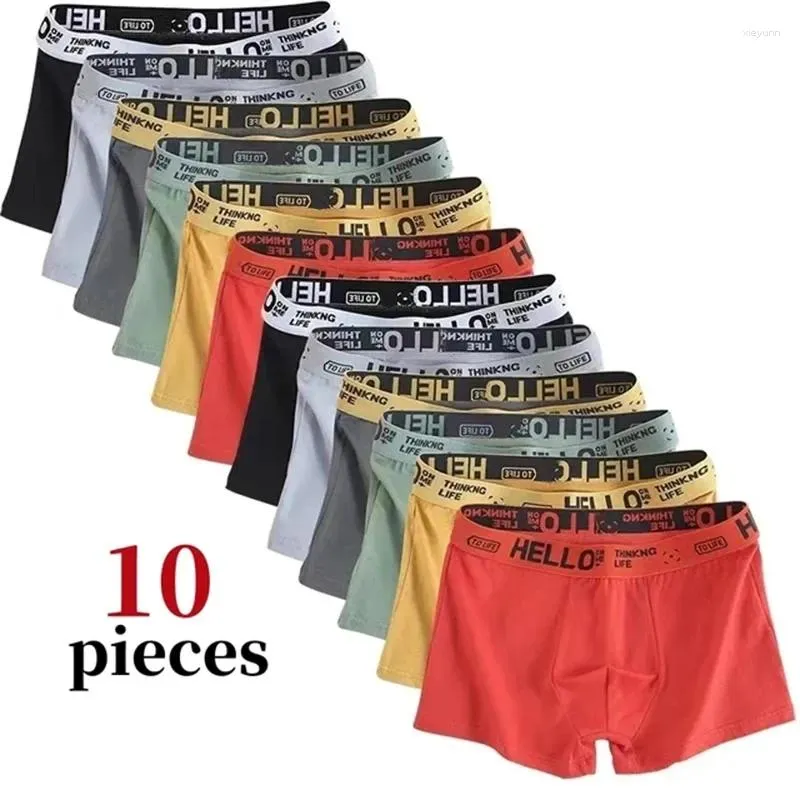 Underbyxor 10st män boxare shorts bomull män underkläder mode l-4xl hög sträcka andningsbar mjuk bekväm plus storlek