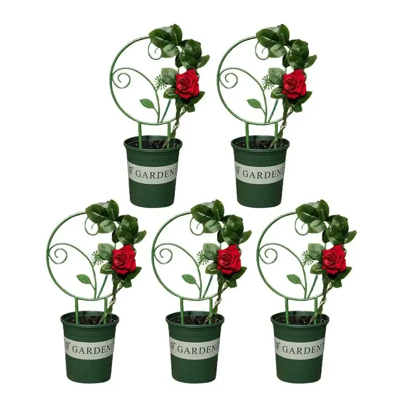 Suporta trellis para escalar plantas internas de 5pcs redondo a ferramenta de jardinagem de estacas de apostas em estacas para rosas Morning Glory