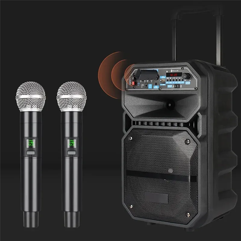 Microfoni Wireless Microfono professionale UHF Registrazione di karaoke Batteria di litio a 1 canale per la scuola di festa