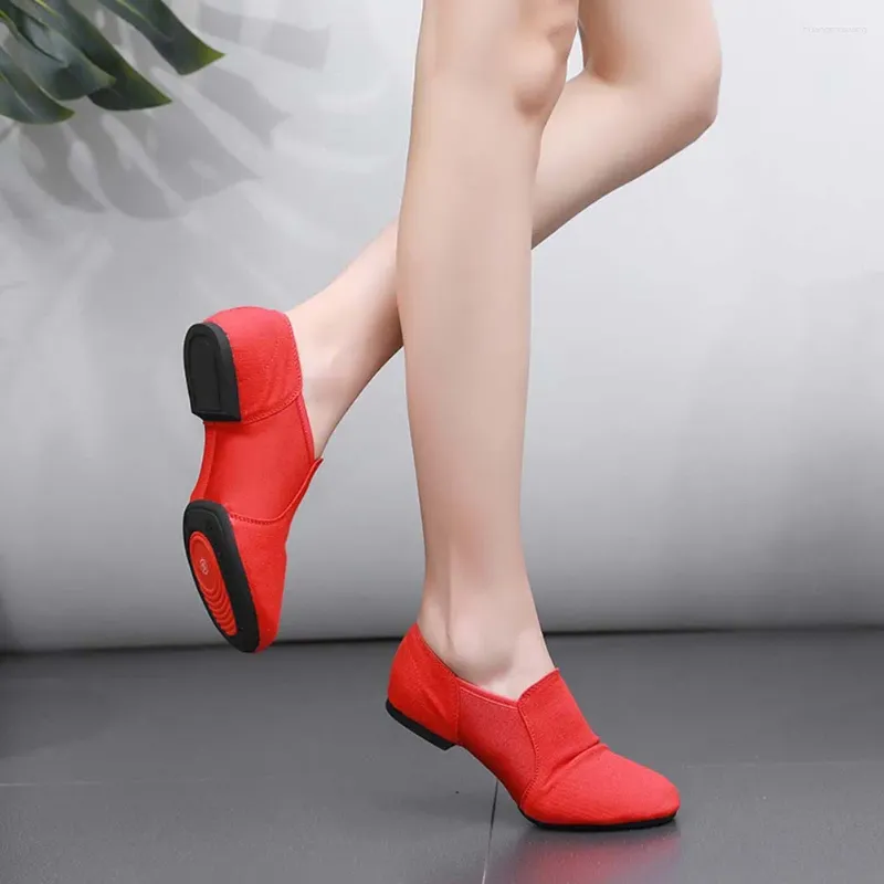 Dance Shoes Adult Flat For Women Lightweight Wear-Resistance Dancing Birthday Gift
