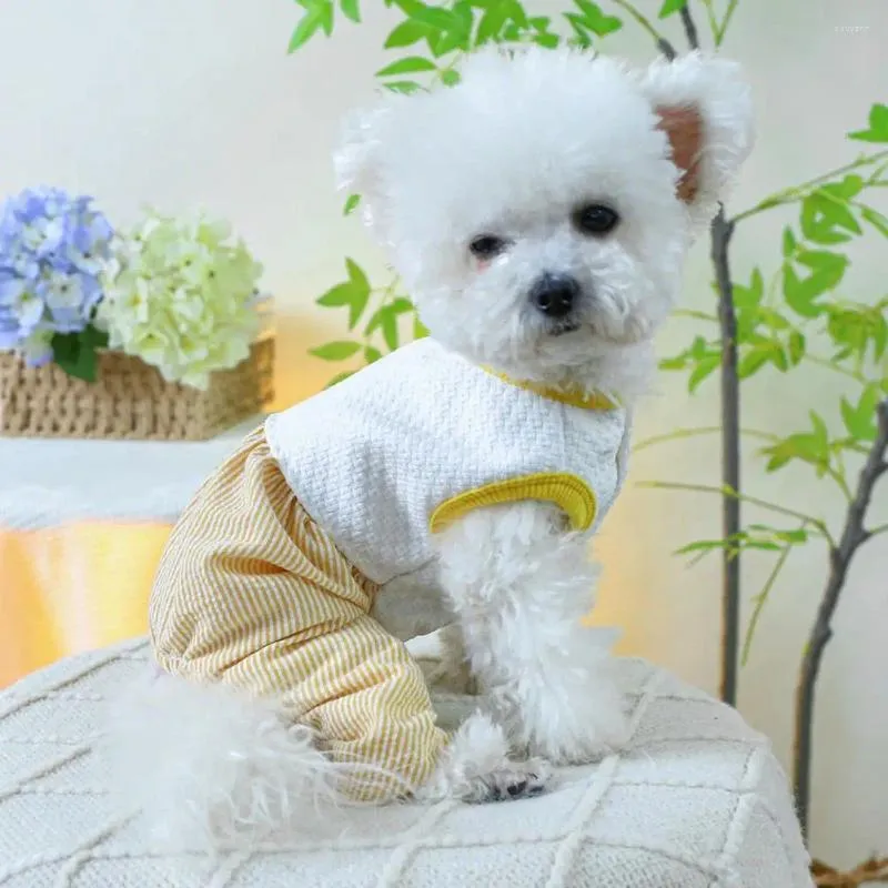 Ubrania z ubrania dla psa okrągła szyja stylowy kolorowy kombinezon wygodny bodysit słodki mały kostium na futrzany