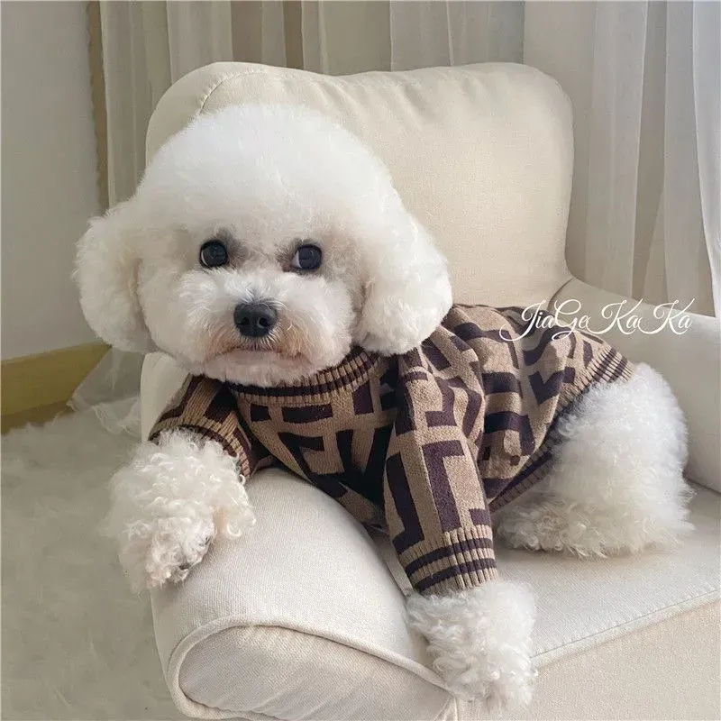 Luxurys Abbigliamento per cani autunno inverno vestiti per animali domestici ricami di moda classici designer di maglioni cuccioli abiti da cane con lettere
