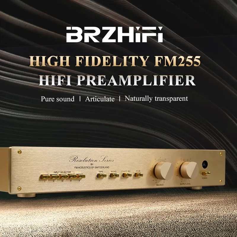 Amplificateur Brzhifi Clone Suisse Suisse FM255 Hiend Audio Power Préamplificateur Classic Gold HiFi Audiophile Stéréo Amplificateur Home Preample