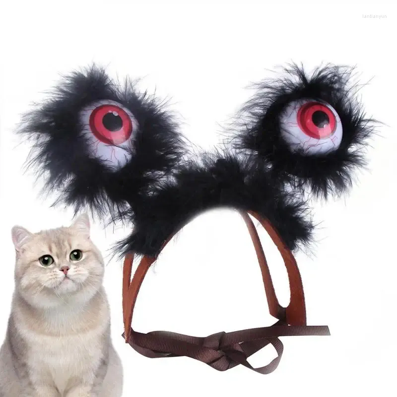 I portatori di gatti illuminano il bagliore della fascia di Halloween negli occhi scuri, ha guidato il padrone elastico per elastico per pet horror per pet elastico per pet.