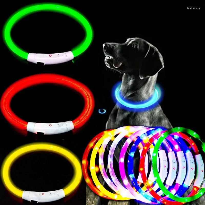 Hundhalsar LED Lätt krage Anti-Lost Night Safety Löstagande glödande USB-laddning Lysande hundar Katter Pets Supplies