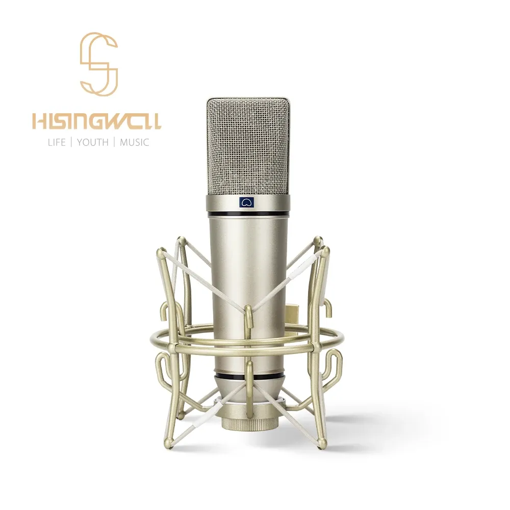 Microphones Hisingwell Allmetal Capacitive Recording microphone pour ordinateur portable Windows Cardiod Studio, musique vocale