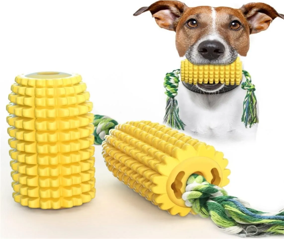 Pet Toy Corn Cob med rephund som gnagande molär tandrengöring Tandborste Interaktiva husdjursprodukter5922536