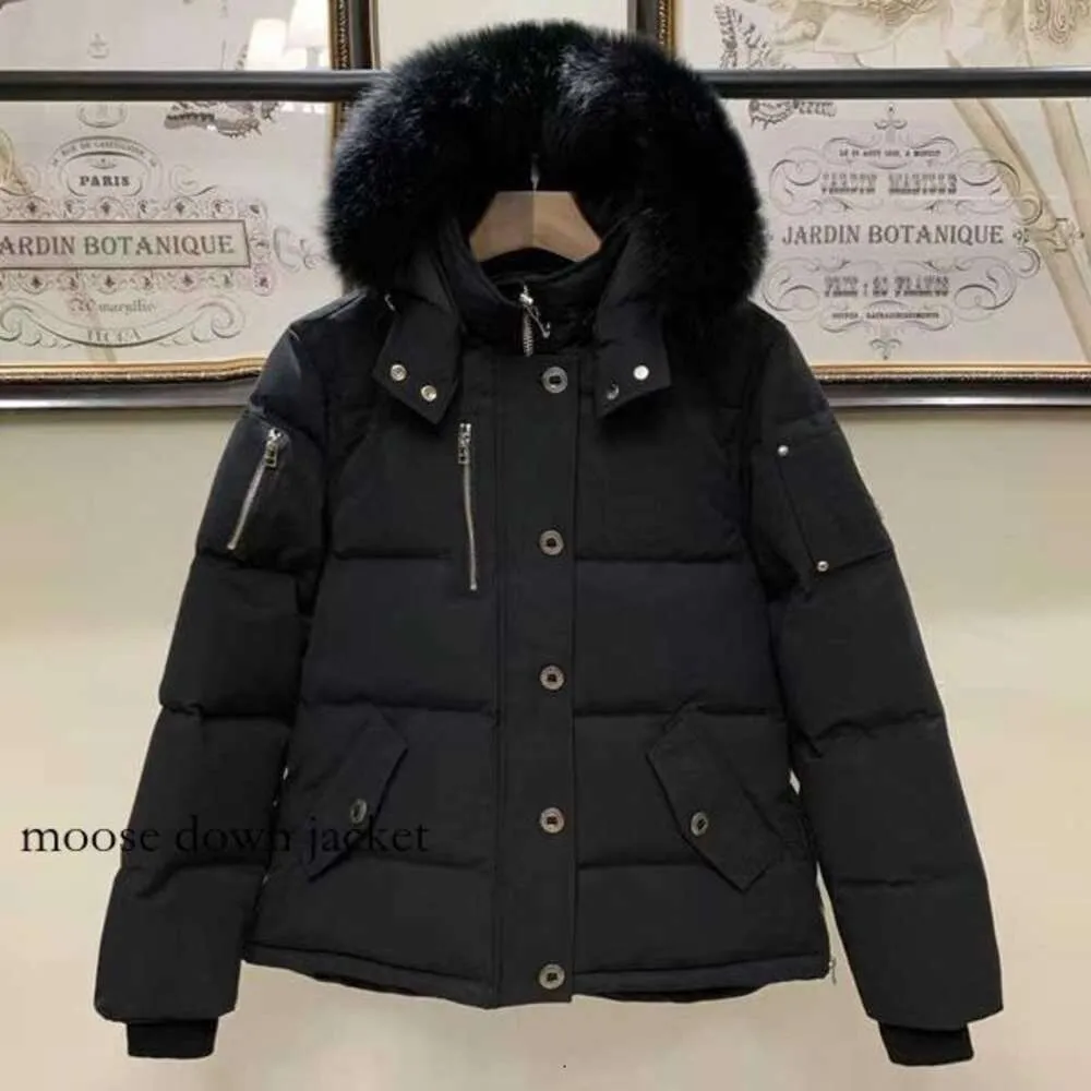 Hot Sale Designer Inverno espessando o aquecimento de alces jaqueta ao ar livre Doudoune Casual Windroof Men's Jacket Masculino à prova d'água à prova de neve capa do trapstar 929