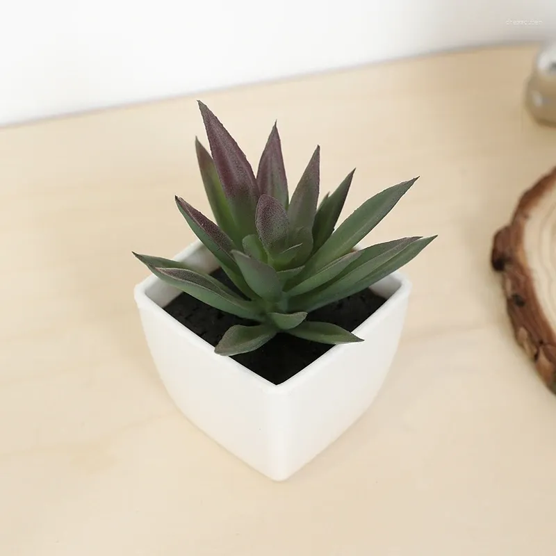 Flores decorativas Mini suculenta copo de fada artificial em vaso de plástico em vaso branco Planta Planta de desktop Decoração