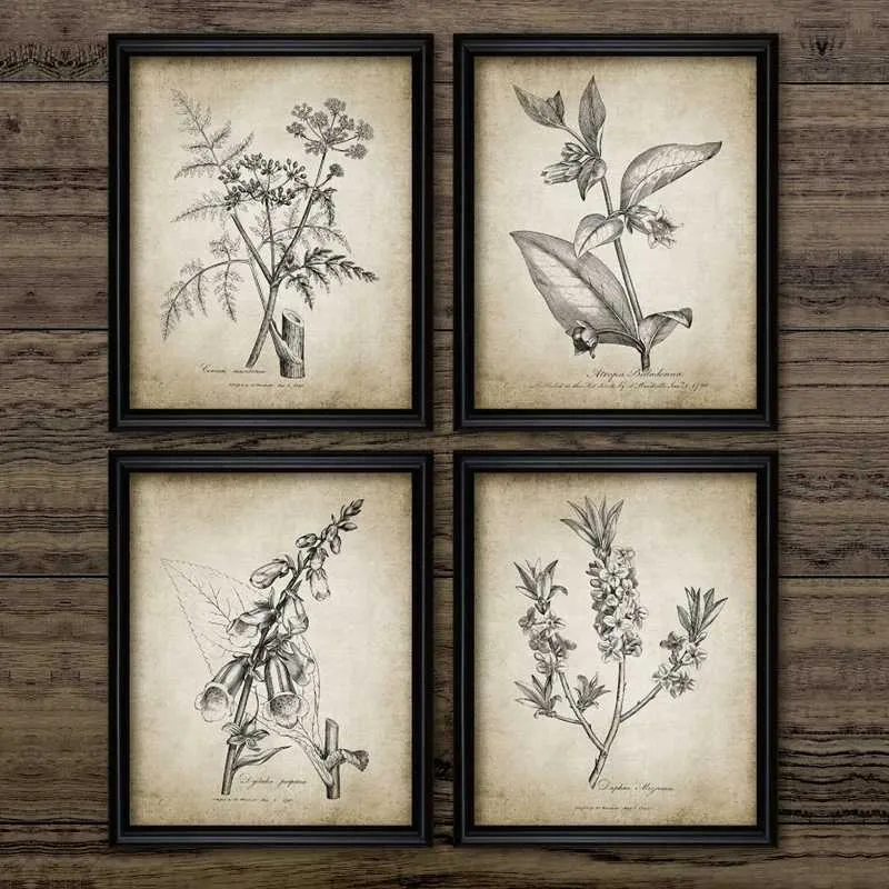 Antique Plants Retro Posters Printed Botanical Wall Art Canvas For Home ...