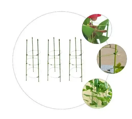 3 Sets Anlagenunterstützungskäfige Garteneinsätze Tomaten Weinkäfige Unterstützt GLELLIS GARDE -Vorräte