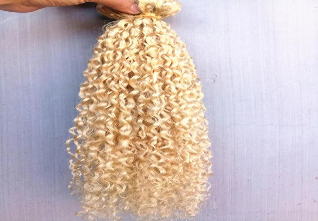 new arrive brazilian human virgin remy clip ins hair extensions curly hair weft blonde color 9pieces with 18clips3246570