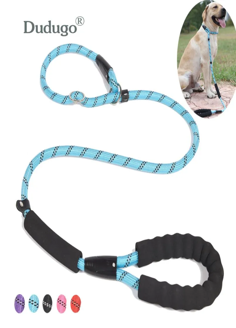 Stor hund reflekterande rep bly koppel 5 färg nylon grundläggande kopplar medium hund promenad stor hund krage för labrador rottweiler2305100