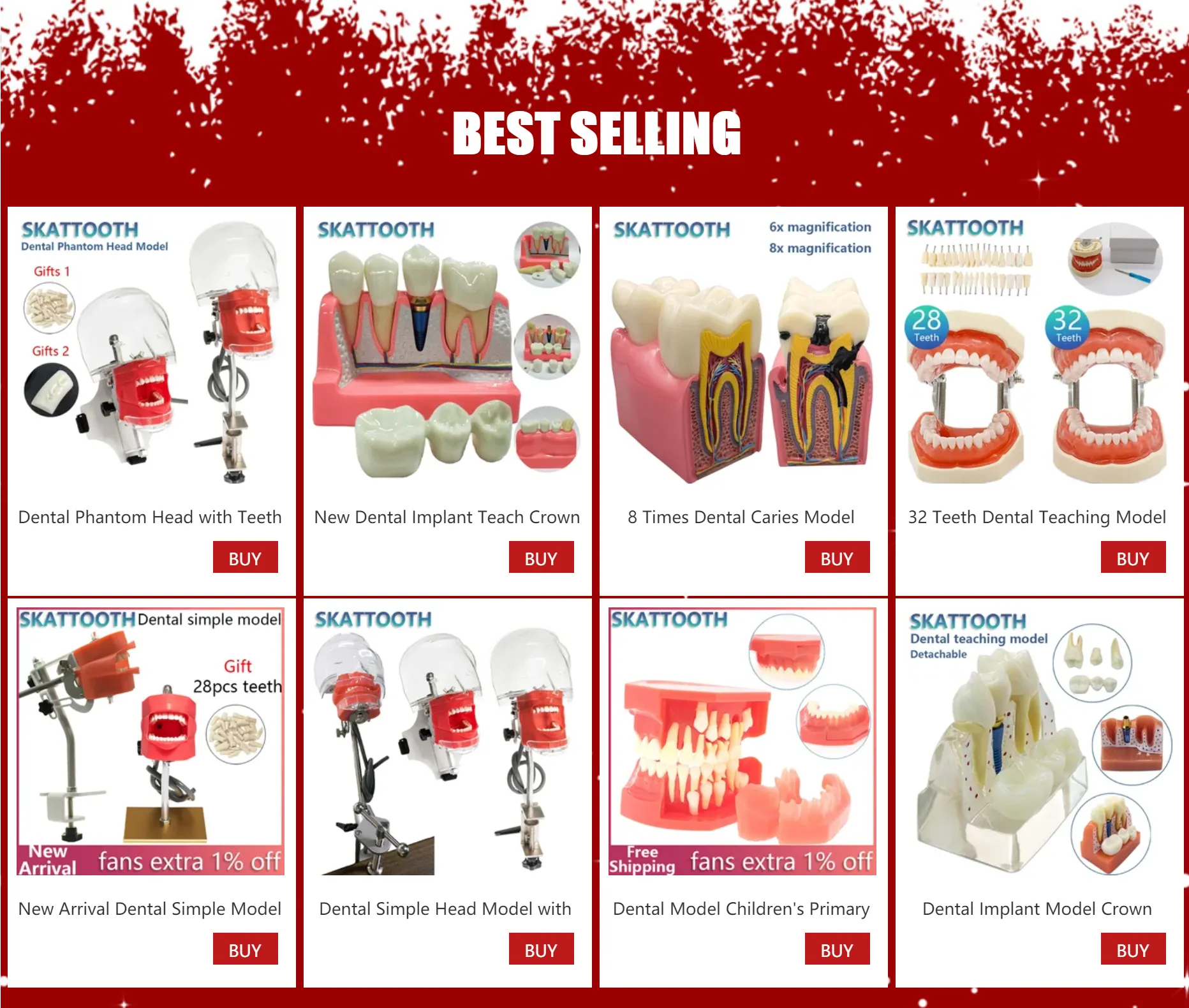 Dental Model Sold On United States