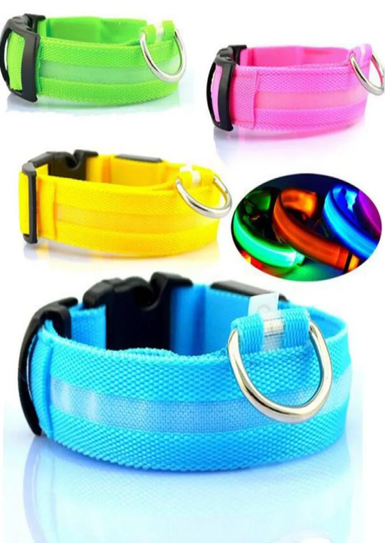 CW001 Nylon Pet Dog Collar LED Light Night Safety Lightup Plashing Glow no colarinho de gato escuro colares de cachorro para cães pequenos7722356