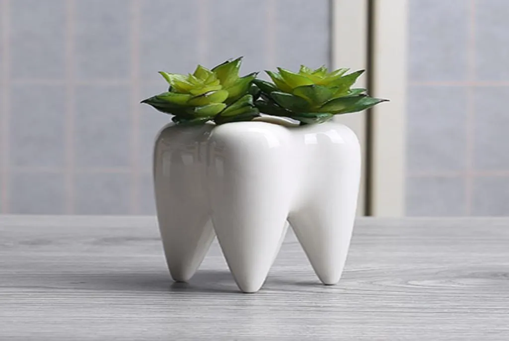 Dentes formaram o pote de plantador suculento de minuto de cerâmica Mini White Cute Garden Flor Decoração da mesa de escritório interno Decoração4091061