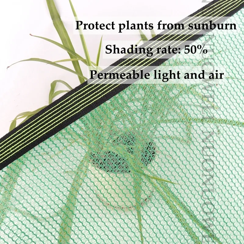 3 Pin HDPE Green Sunshade Net Anti-UV Shading Rate 50% Plant Outdoor Swimming Pool Greenhouse Sun Shade Cooling Shade Net