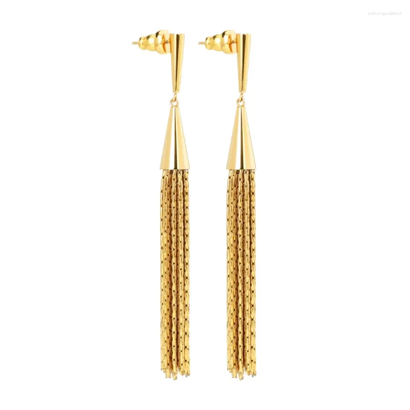 Stud -oorbellen Tassel Gold vergulde oorbel voor dames roestvrij staal vrouwen feestgeschenken Long Fashion Statement Wedding Kolczyki