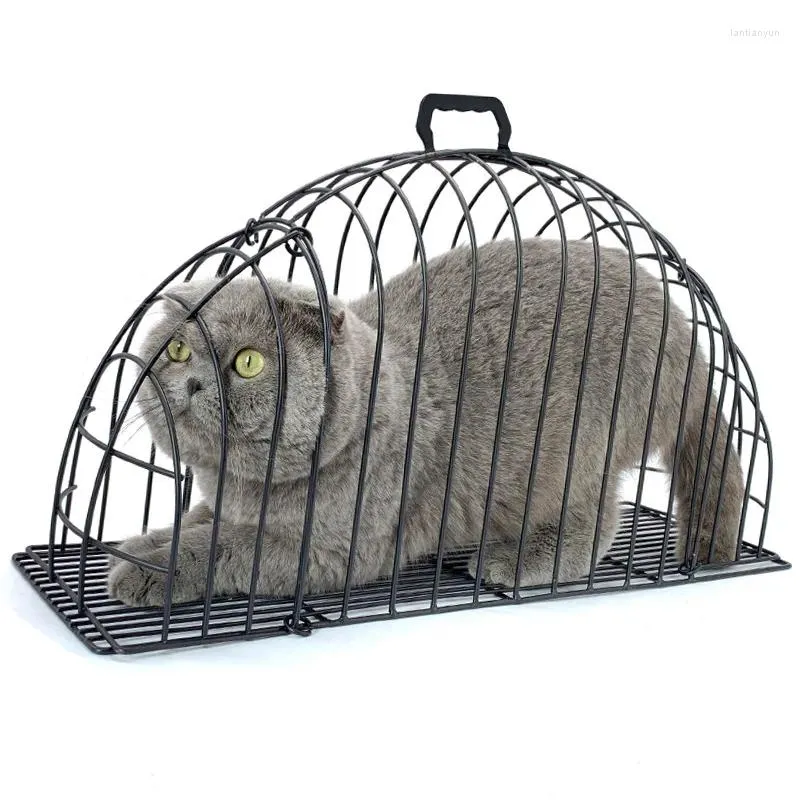 Portatore di gatti anti-grab che lava la porta della gabbia in metallo da bagno leggero per cani di piccola doccia asciugacapelli per capelli.