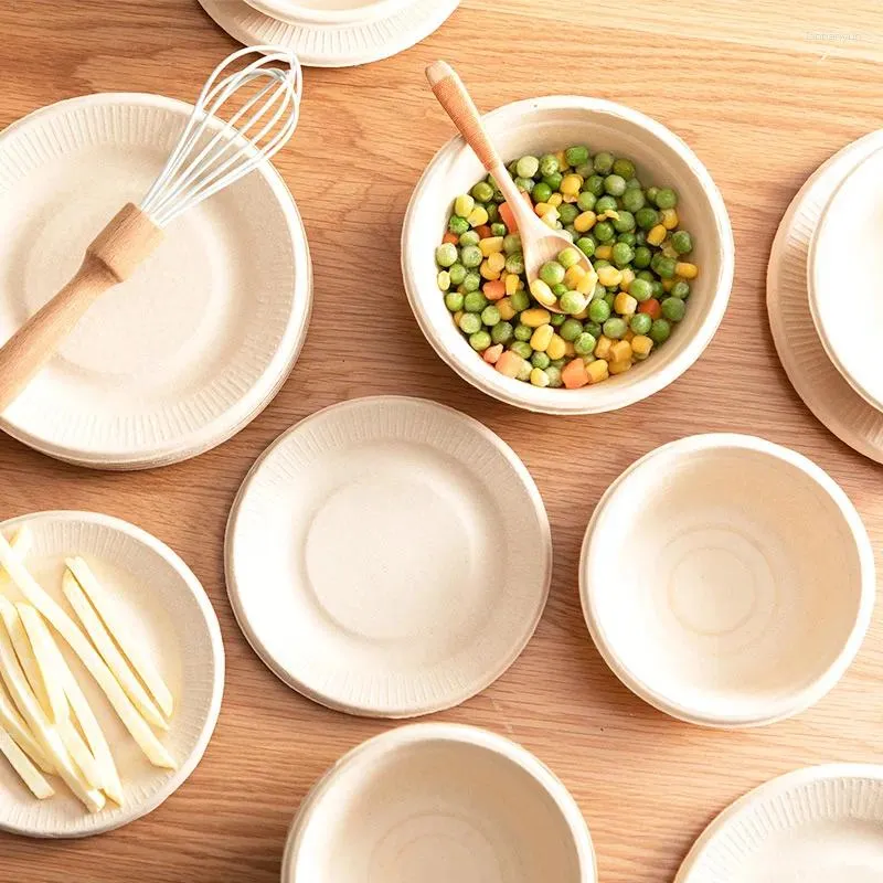 Dince per stoviglie Scarbi chahua piatti addensati ecologici ecologici di frutta degradabile compagnia familiare che raccoglie accessori da cucina per la cena