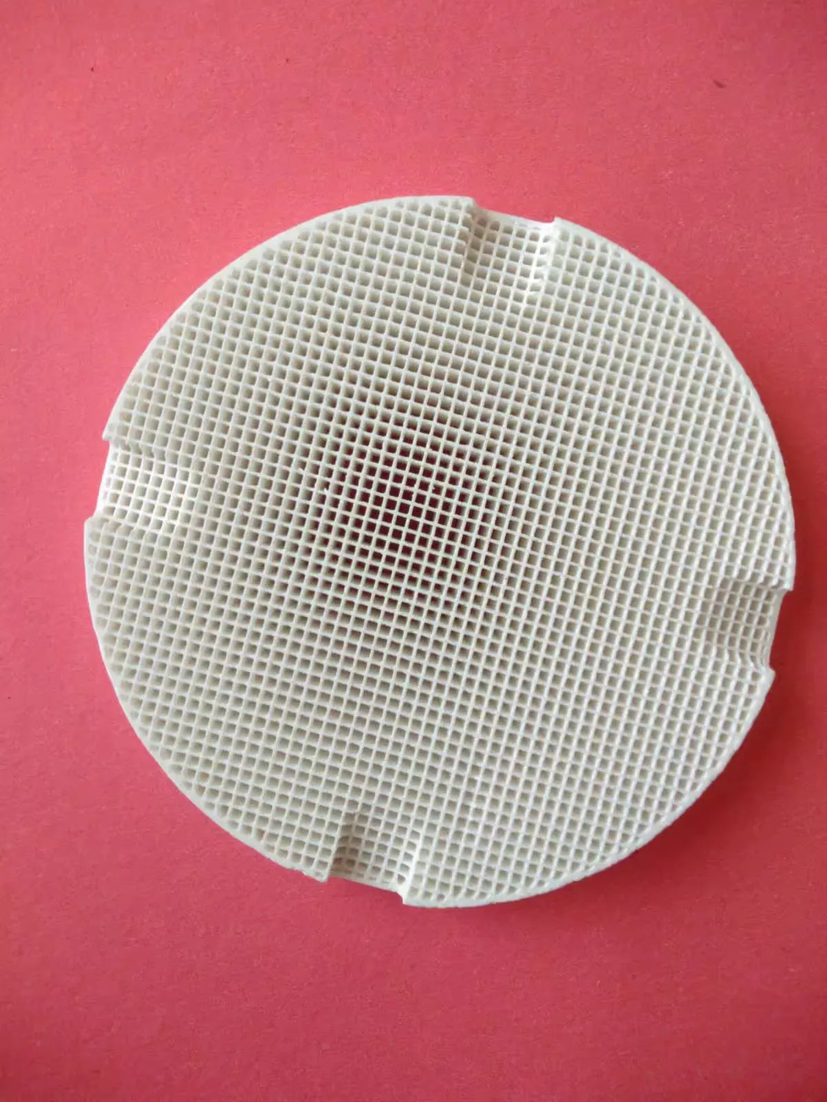 100PCS Metal Pins For Dental Lab Honeycomb Firing Trays Denture