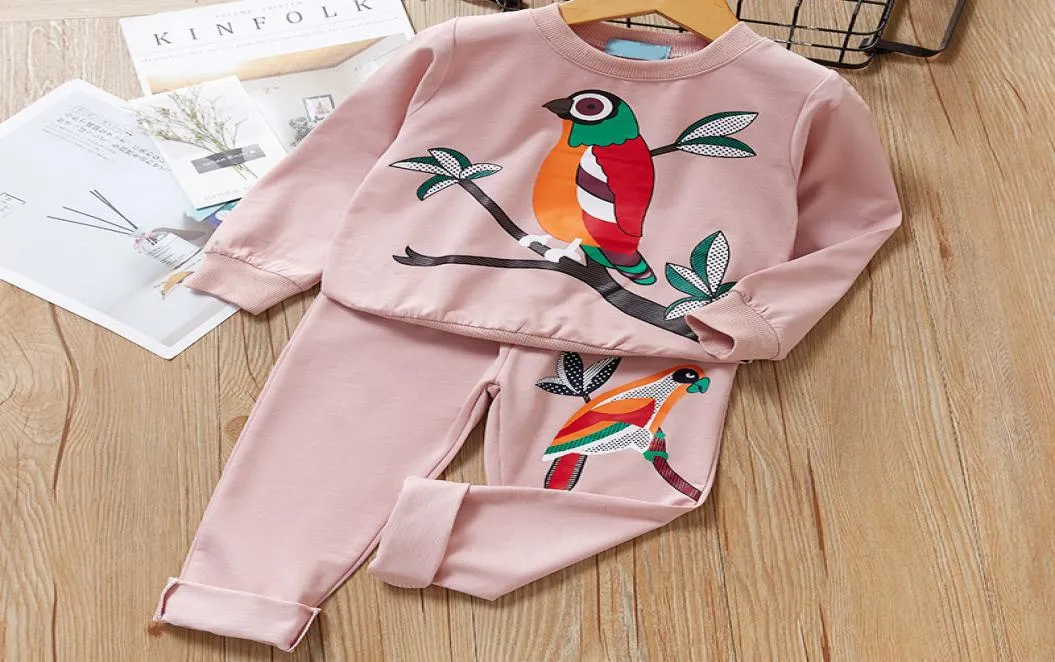 여자 의류 세트 2019 여자 옷 긴 소매 tshirtpants 2pcs chids closting set children clothing2699778