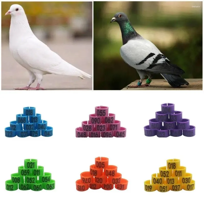 Diğer Kuş Malzemeleri 100 PCS Sayı (001-100) İç Çap 8mm Güvercin Kümes Hayvanları papağan klipsleri yüzük Bant Ayağı