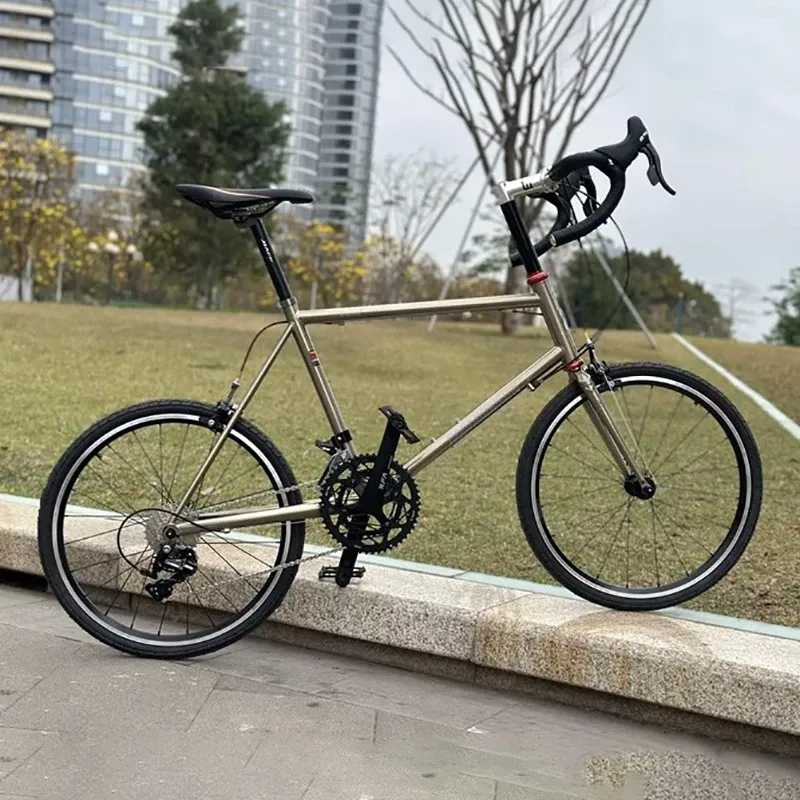 ブラック ミニベロ 20インチ 自転車 スチールフレーム ブラック ミニベロ 20インチ 自転車 スチールフレーム