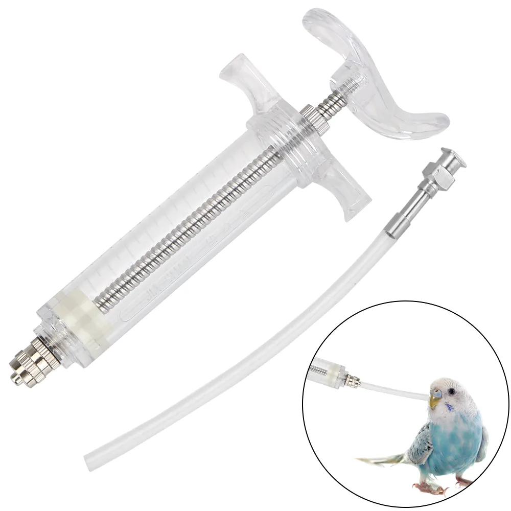 Parrot hand feeding syringes 2025