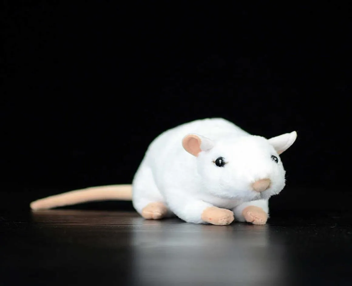 17cm Soft Cute White Mouse Simulation Stuffed Plush Toy Rat Lovely Kawaii Dolls Animal Mini Real Life Plush Toy Kids Child Gift Q05989975