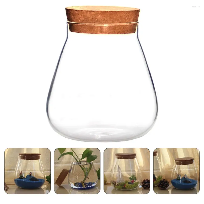 Vasen Snack Reisebehälter Kork Glasflasche Aufbewahrungsglas basteln saftige Topfblasen Schüssel Florarium