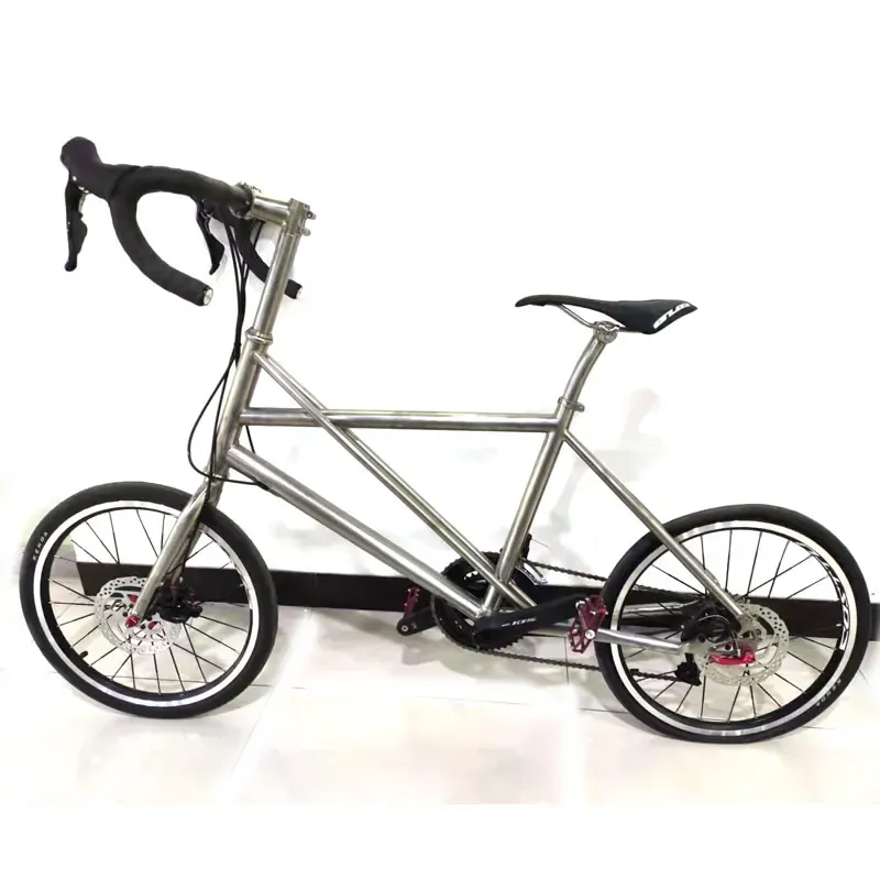 Mini Velo -fiets met 22 snelheid, 406 wielset, schijfrem, titanium