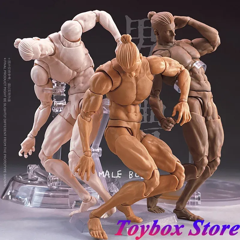 PVCアクションフィギュア：超柔軟な可動雄の体モデル、6 フィギュアの