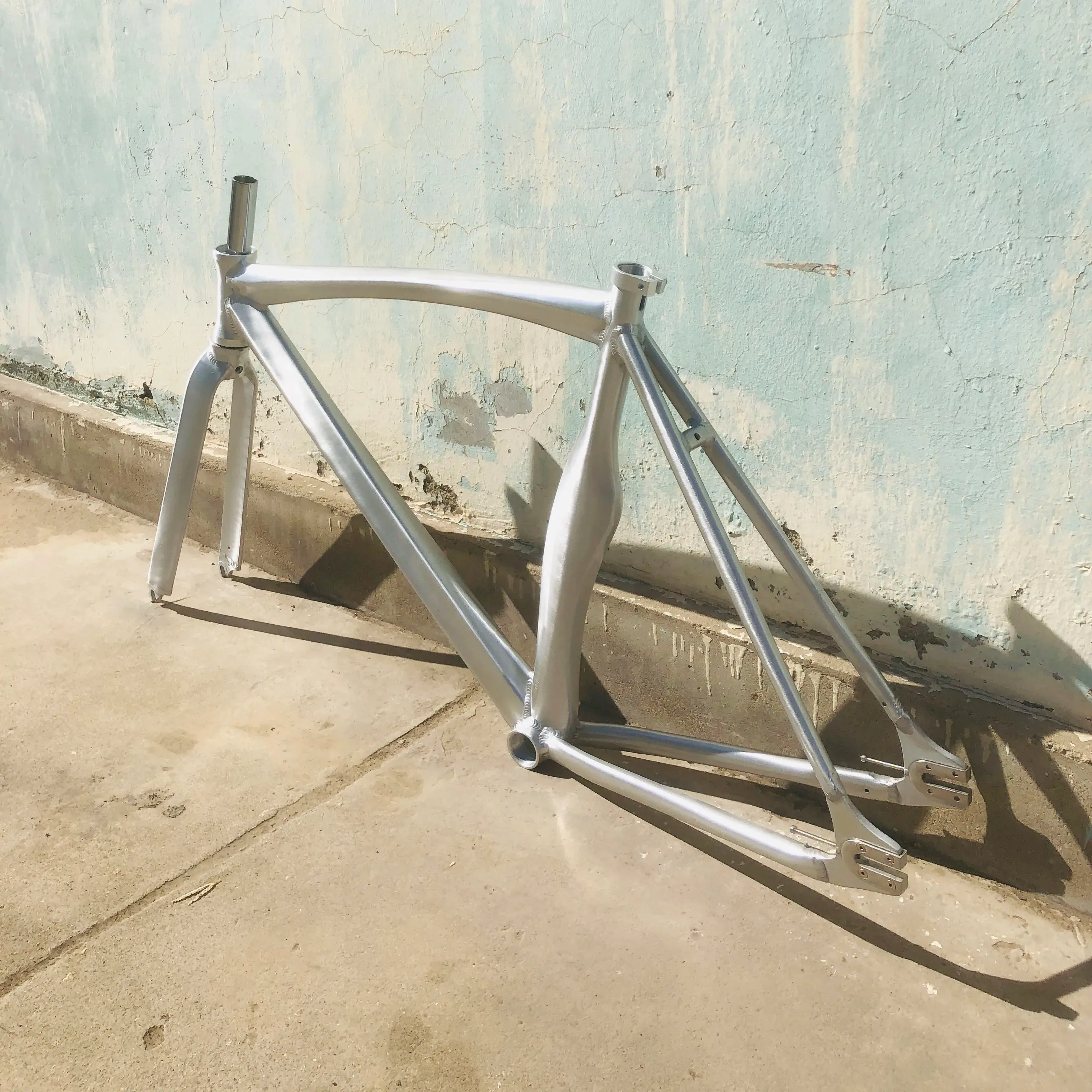 Fixed Gear Fahrradrahmengröße Rahmenset Muskelform Aluminiumlegierung Material Einspeisung Fahrrad -Fahrradteile