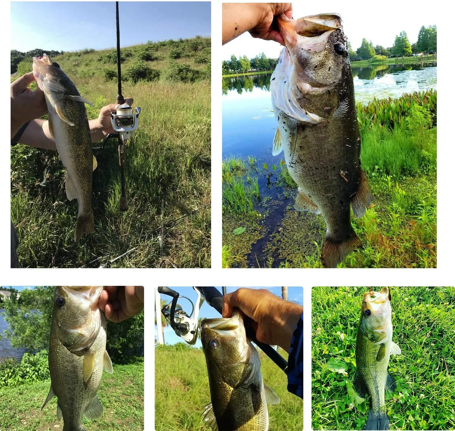 akataka baitcasting rod Okuma Altera Travel | 7 Ft The Hammer 7 combines a quick 2023 Tatula Elite Baitcasting Rods
